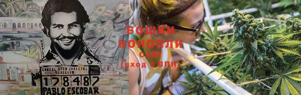 PSILOCYBIN Надым