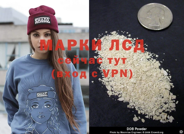 прущие грибы Михайловск