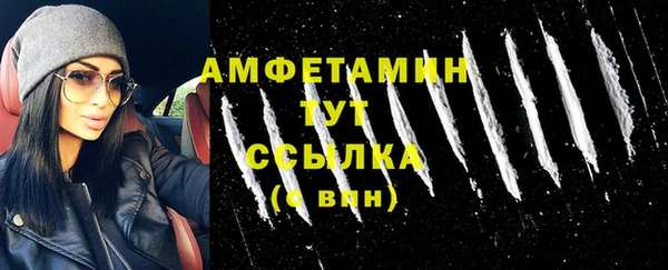 прущие грибы Михайловск