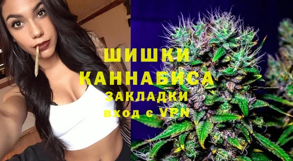 прущие грибы Михайловск